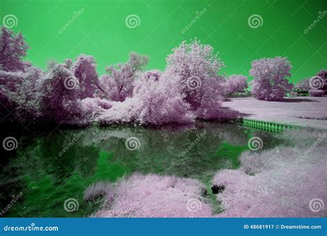 Park stock image. Image of crystal, lake, watercourse - 48681917