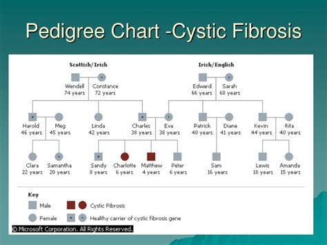 PPT - Pedigree Charts PowerPoint Presentation - ID:3223311