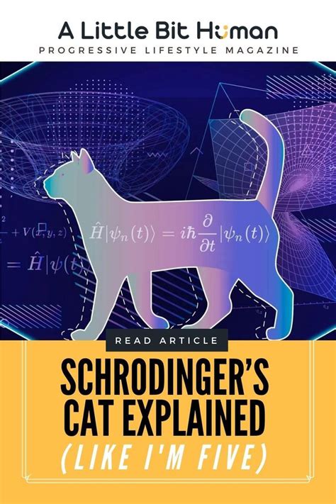 Schrodinger’s Cat Explained Like I’m Five