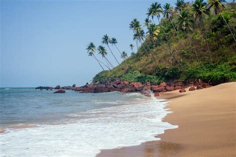 Cola Colva Beach in Paradise Goa Copyspase Stock Image - Image of palolem, destination: 159390059