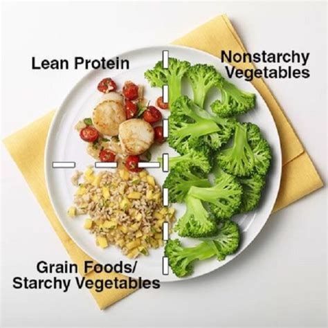 The ADA Diabetic Diet Recommendations - Dibesity