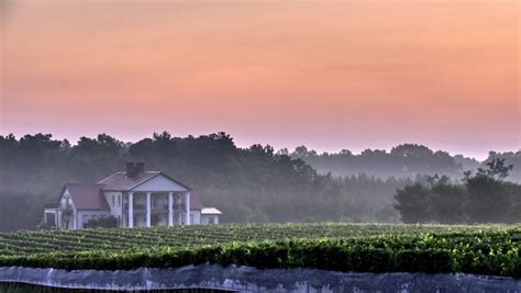 Top 10 Virginia Wineries to Sip In | Carpe Travel