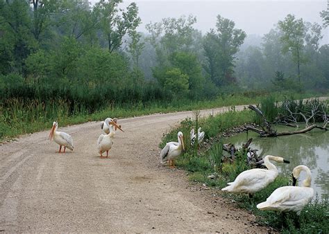 Wildlife Safari Park opens Saturday | Nebraska News | journalstar.com