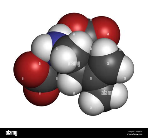 Kainic acid molecule. Direct agonist of the glutamic kainate receptors. 3D rendering. Atoms are ...