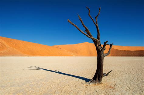 Namibia Scenic Landscape Photography & Art Prints