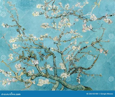 Almond Blossom by Vincent Van Gogh,1890 Editorial Image - Image of buds ...