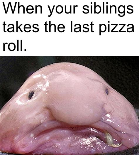 Blobfish Meme