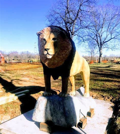 Waco Sculpture Zoo: Installing art for future generations - Creative Waco