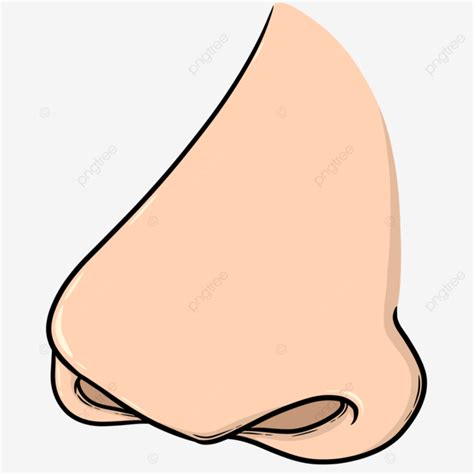 Cartoon Nose, Nose Clipart, Cartoon Clipart, Nose PNG Transparent Clipart Image and PSD File for ...