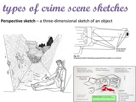 Rough Sketch Of Crime Scene At Paintingvalley.com 00A