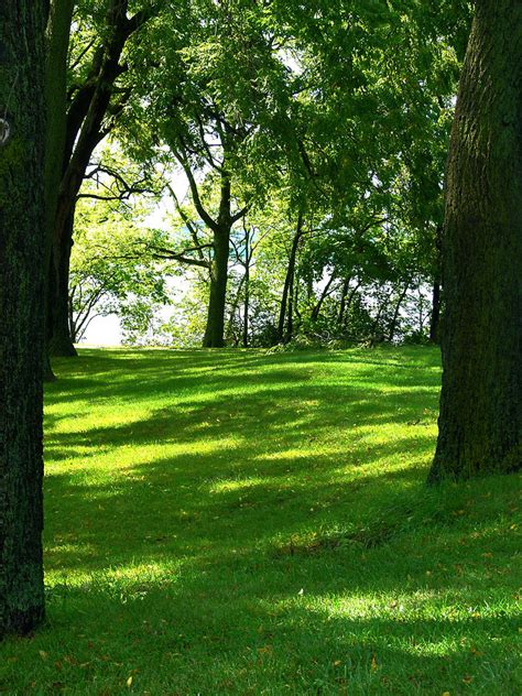 Grassy Park Photograph by Lindsay Stone - Fine Art America