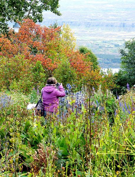 Lystigardur Akureyrar, or the Akureyri Botanic Garden, in northern ...