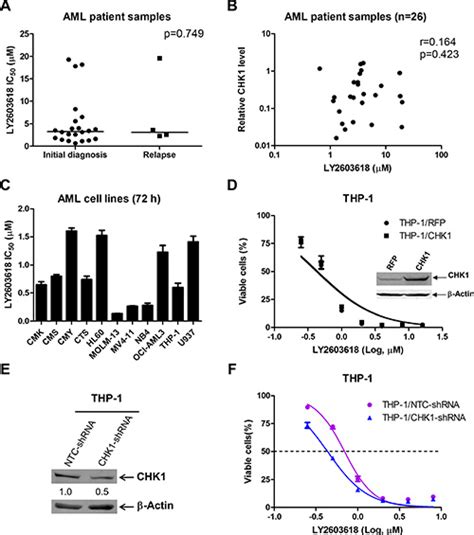 Oncotarget | Inhibition of CHK1 enhances cell death induced by the Bcl-2-selective inhibitor ABT ...