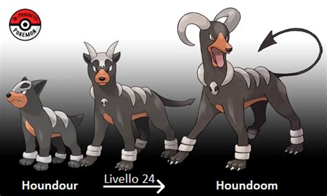 Houndoom | Analisi Pokémon Wiki | Fandom