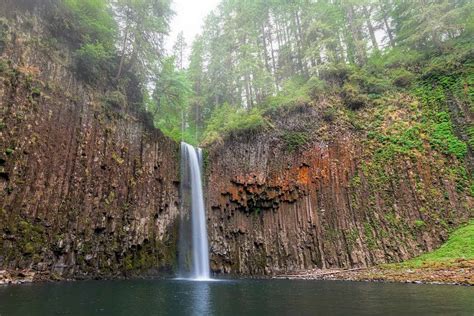 Trail Guide: Abiqua Falls Trail, Oregon - Territory Supply