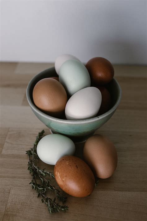 Pasture Raised Eggs