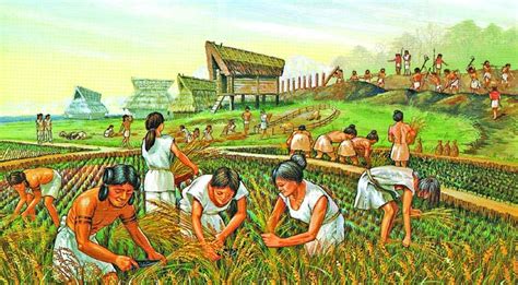 History of the agricultural revolution | The Asian Age Online, Bangladesh