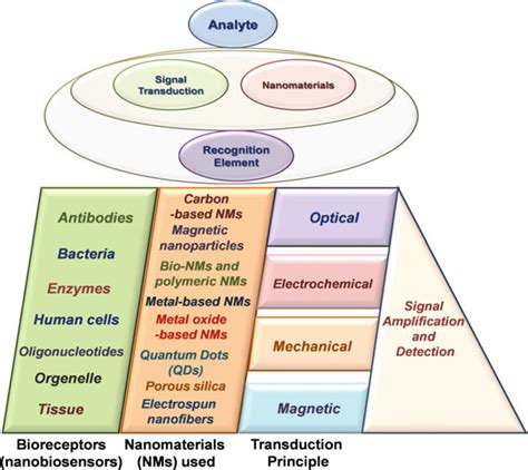 1 Main components of nanosensors and their various types according to ...