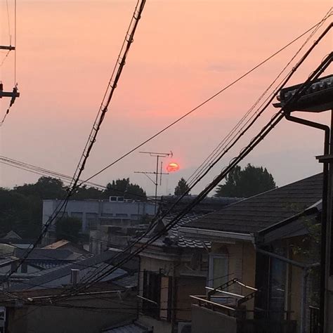 Sunset Kyoto! What a lovely shade! #mykyotolife #everydayjapan #sunset #summer Coin, Kyoto ...