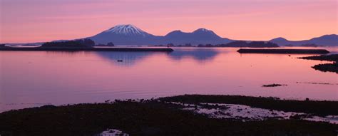 Whales in Sitka Gallery | Images of Sitka, Alaska | Fishing Charters Alaska