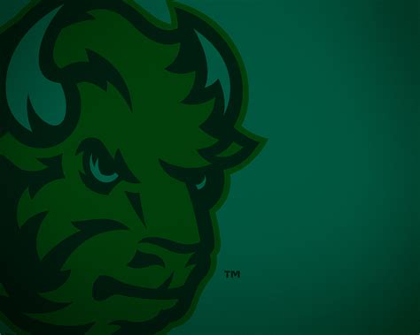 🔥 [50+] NDSU Bison Wallpapers | WallpaperSafari