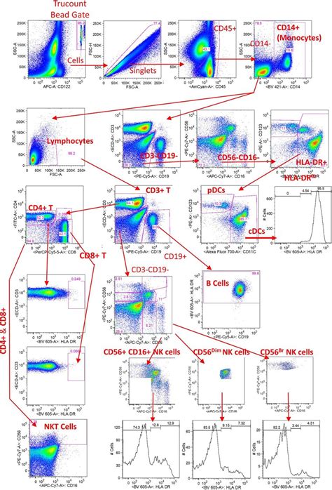 Flow cytometry gating strategy for PBMC subsets Flow data... | Download Scientific Diagram