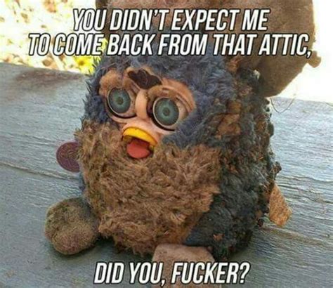 Pin by George Sze on dark humor | Furby, Funny pictures, Weird pictures