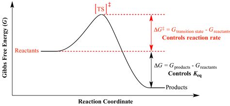 Illustrated Glossary of Organic Chemistry - ΔG‡