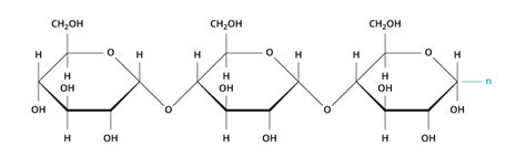 Wellmon-Macromolecules - Concept Map