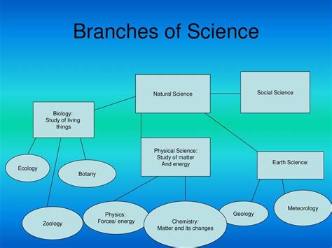 Branches Of Science Concept Map