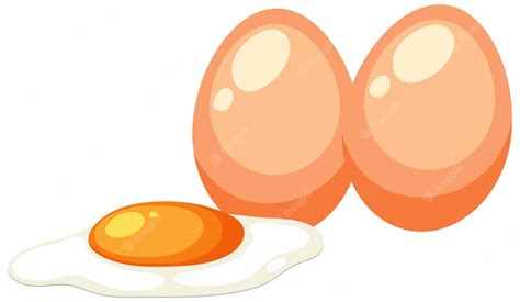 Premium Vector | Two eggs vector concept