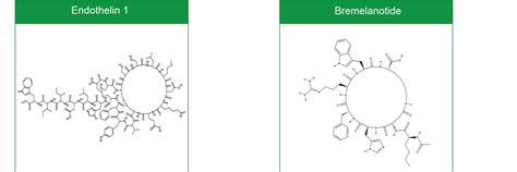 The Cyclic Peptide Synthesis Research - OMIZZUR