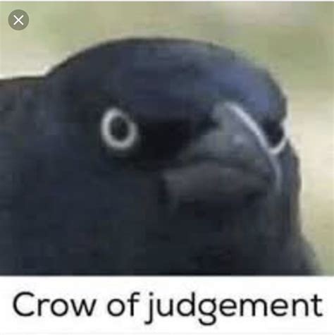 Crow of judgement Memes - Imgflip