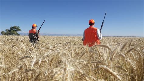 Pheasant Hunting Gear Guide - Pleasant Valley Hunting Preserve