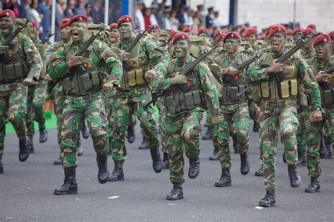 Modern Portuguese army elite "Comandos" | Exercito portugues, Forças ...