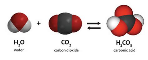 Chemical Decomposition