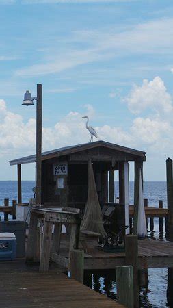 Bokeelia Fishing Pier (FL): Top Tips Before You Go (with Photos ...