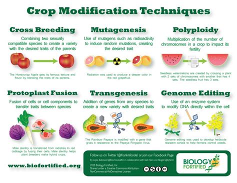 Plant Breeding Innovation – International Seed Federation