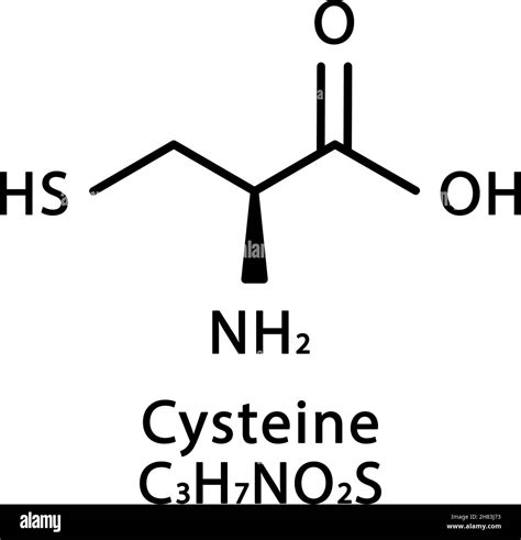 Cysteine molecular structure. Cysteine skeletal chemical formula ...