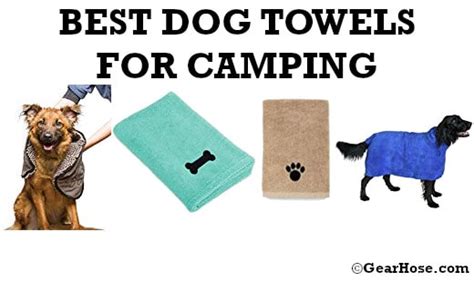 Top 10 best dog towels to buy for camping and outdoors (Updated 2020)