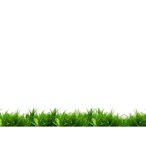 Green White Grass Park Bench Free Frame Transparent HQ PNG Download ...