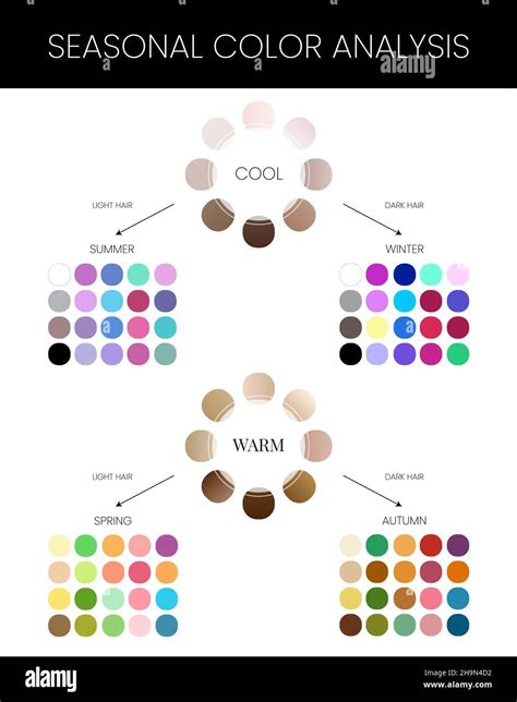 Seasonal Skin Color Analysis Chart with Summer, Winter, Autumn and ...