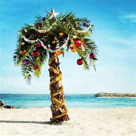 Pin by Jackie Elliott on Christmas :) | Hawaiian christmas, Christmas palm tree, Beach christmas