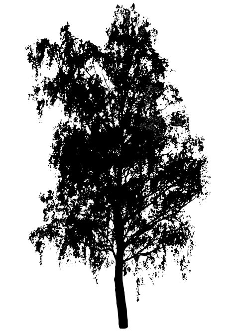 Clipart - tree silhouette 2