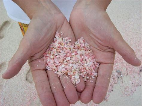 The Unique Pink Sands Beach in Harbour Island, the Bahamas - Places To ...