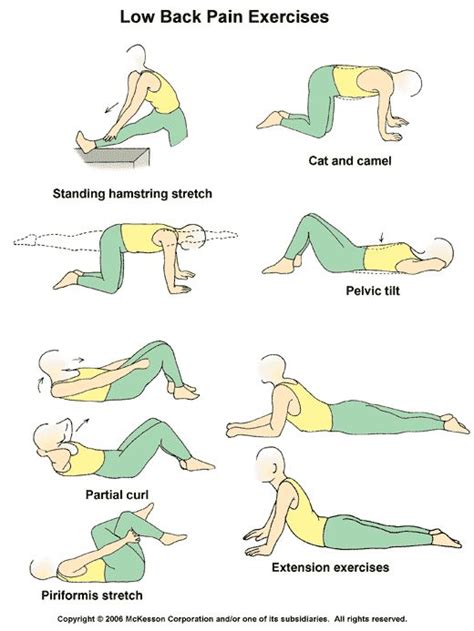 22 best Back Pain Exercises images on Pinterest | Lower back pain exercises, Stretching ...