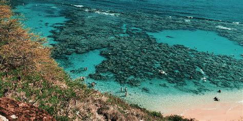 Best Beaches for Snorkeling on Oahu - Local Getaways