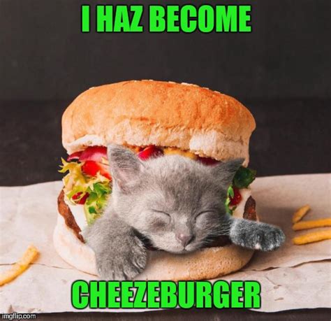 I iz cheezeburger - Imgflip