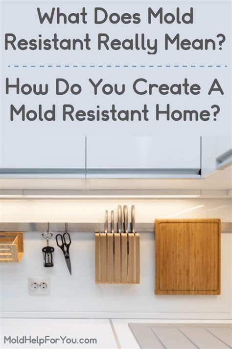 Mold Resistant Products | Mold Help For You