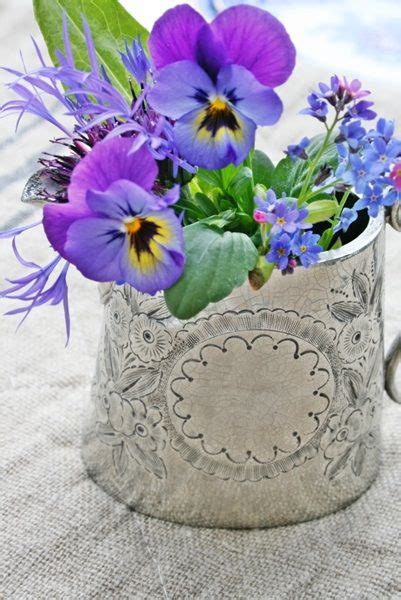 453 best images about pansies on Pinterest | Thoughts, Perfect love and ...